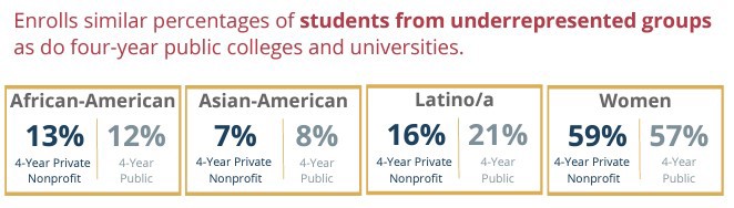 ethnicity percentages